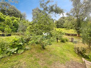 Photo 12- click for photo gallery